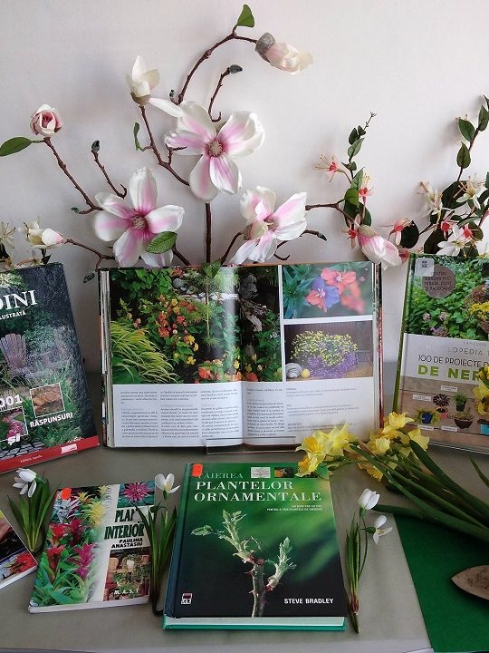 Pregatirea de primavara