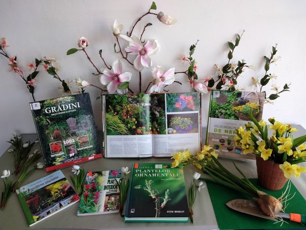 Pregatirea de primavara