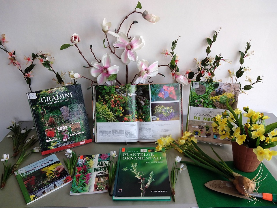 Pregatirea de primavara