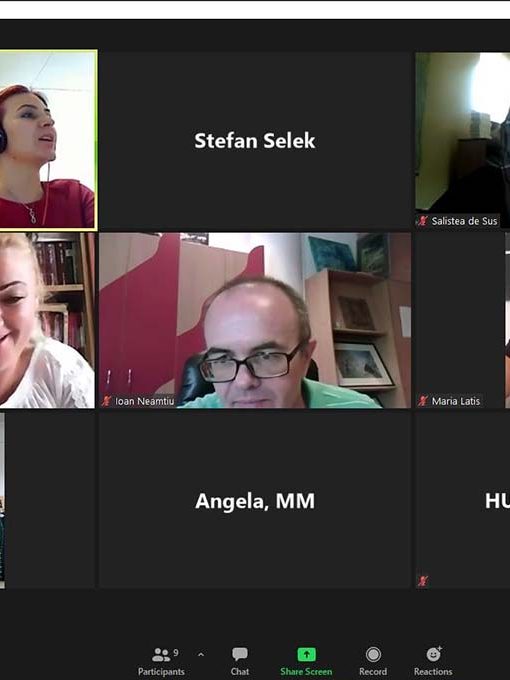 Întâlnire profesională între bibliotecari publici din județul Maramureș, online 16 iulie 2021