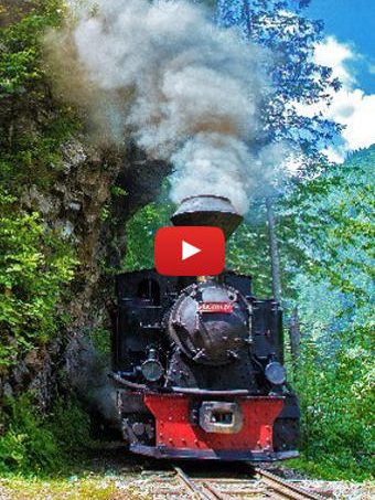 Video – Cu Mocănița prin bibliotecă (BJPD 21 iulie 2021)