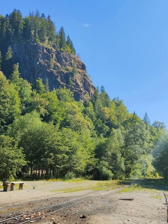 CFF Vișeu de Sus – Valea Vaser, Botiz 21-07-22 © Adrian Man