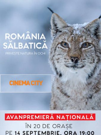 Cinema-City-România-sălbatică-afis-România-Sălbatică