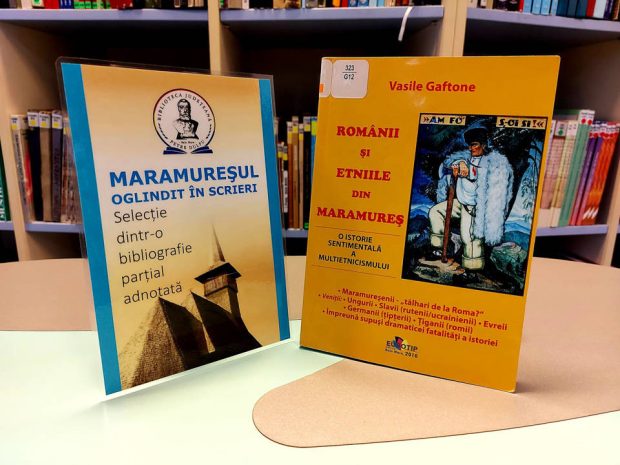 Românii şi etniile din Maramureş – o istorie a multietnicismului, de Vasile Gaftone