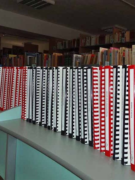 Ziua Internațională a Nevăzătorilor – 15 octombrie, cărți Braille BJPD-2