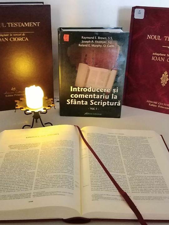 Expoziție de carte la BJPD – Ziua Sfintei Scripturi – 13 noiembrie