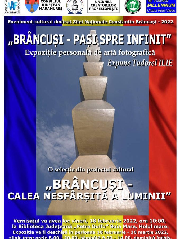 Expozitie Brancusi – PASI SPRE INFINIT – afis 18 februarie 2022