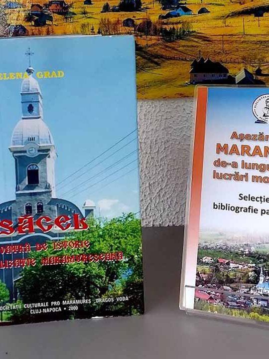 Săcel vatră de istorie şi civilizaţie maramureşeană, de Elena Grad, 2000