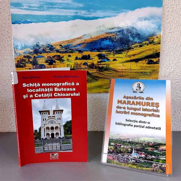 Buteasa şi a Cetăţii Chioarulu, de Ioan Şilimon, Rodica Marinescu, 2014