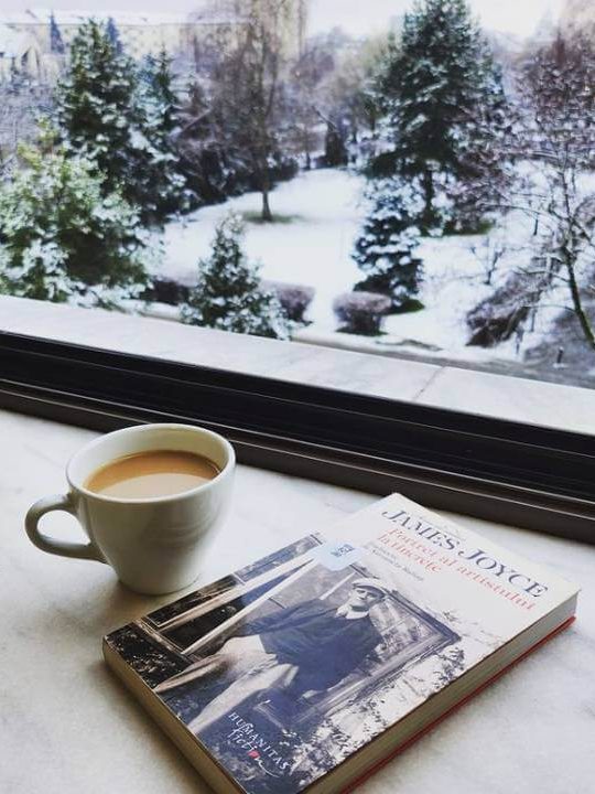 2 februarie 1882 – se năștea în Irlanda James Joyce – BJPD-Insta-02-02-23