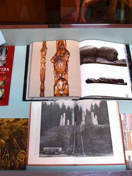 Gheza Vida – un maramureșean pentru eternitate – 110 ani – BJPD-28-02-23