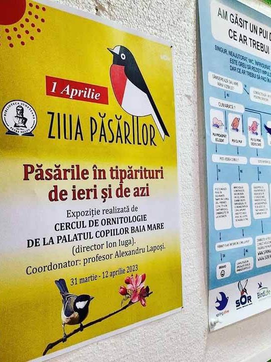 Ziua Iubitorilor de Păsări-BJPD-Insta-01-04-23