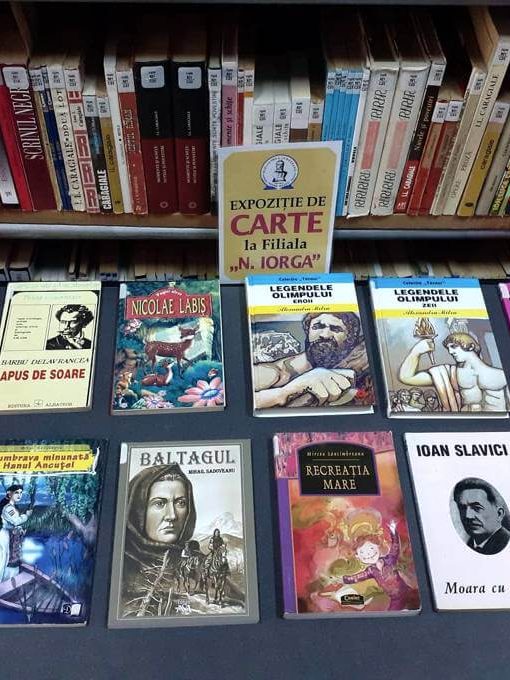 Ce citim în vacanţă – Expoziţie de carte realizată la Filiala Iorga – BJPD-21-07-23