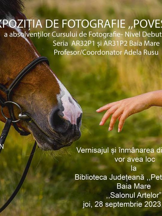 Expoziție de fotografie „Povești vizuale”, Salonul Artelor BJPD 28-09-2023