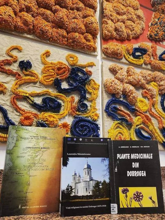 Ziua Dobrogei – BJPD Instagram – 14-11-2023