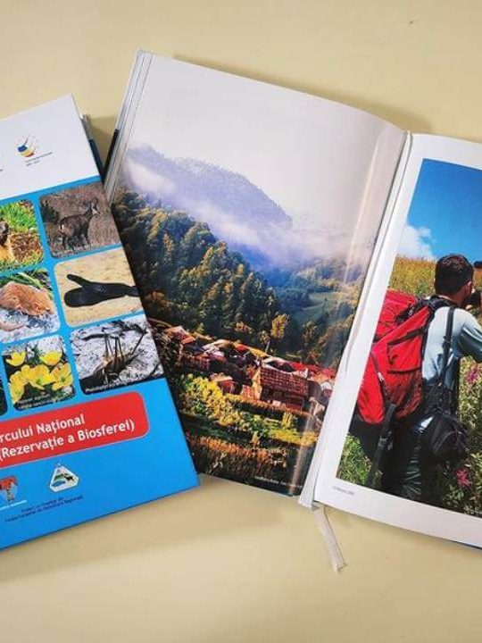 11 decembrie – Ziua Internațională a Muntelui – BJPD Instagram 11-12-23