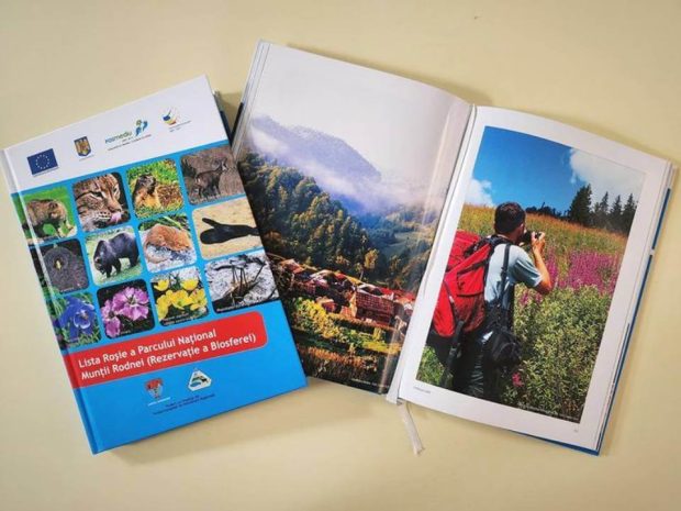 11 decembrie – Ziua Internațională a Muntelui – BJPD Instagram 11-12-23