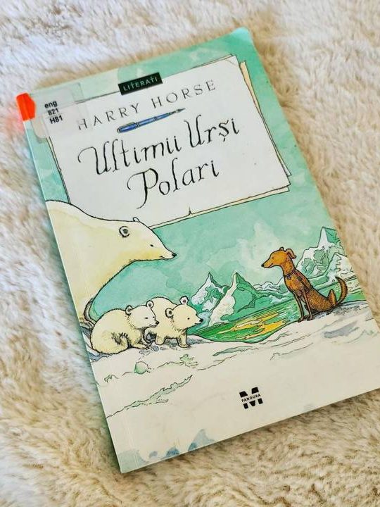 27 februarie – Ziua Internațională a Urșilor Polari – BJPD Instagram 27-02-2024