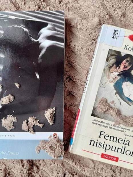 100 de ani de la nașterea scriitorului japonez Kōbō Abe – BJPD Instagram 07-03-2024