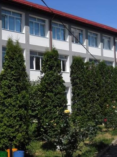 Colegiul Economic „Nicolae Titulescu” – Sursa foto Facebook