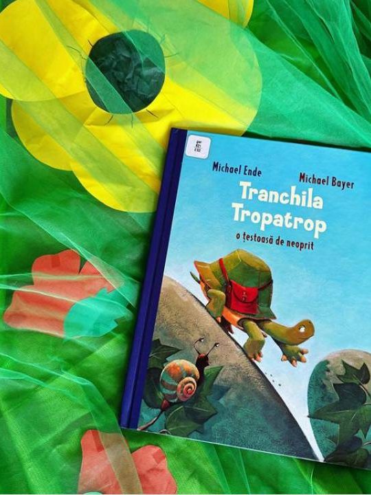 Ziua Mondială a Broaștelor Țestoase – Instagram BJPD-23-05-2024