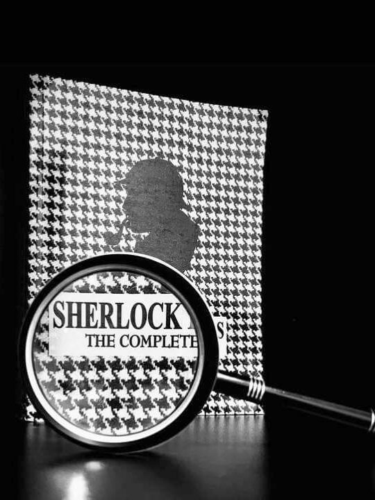 Ziua Sherlock Holmes – Instagram BJPD-22-05-2024