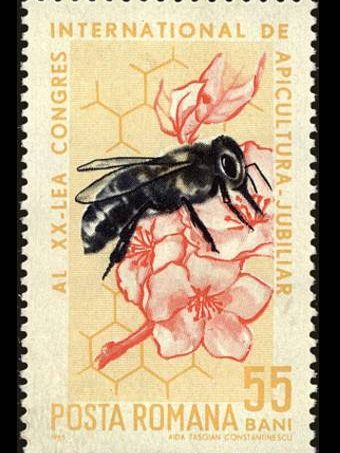 Jurnalul Filatelic – Albinele de miere și importanța lor în ecosistem – 11-07-2024