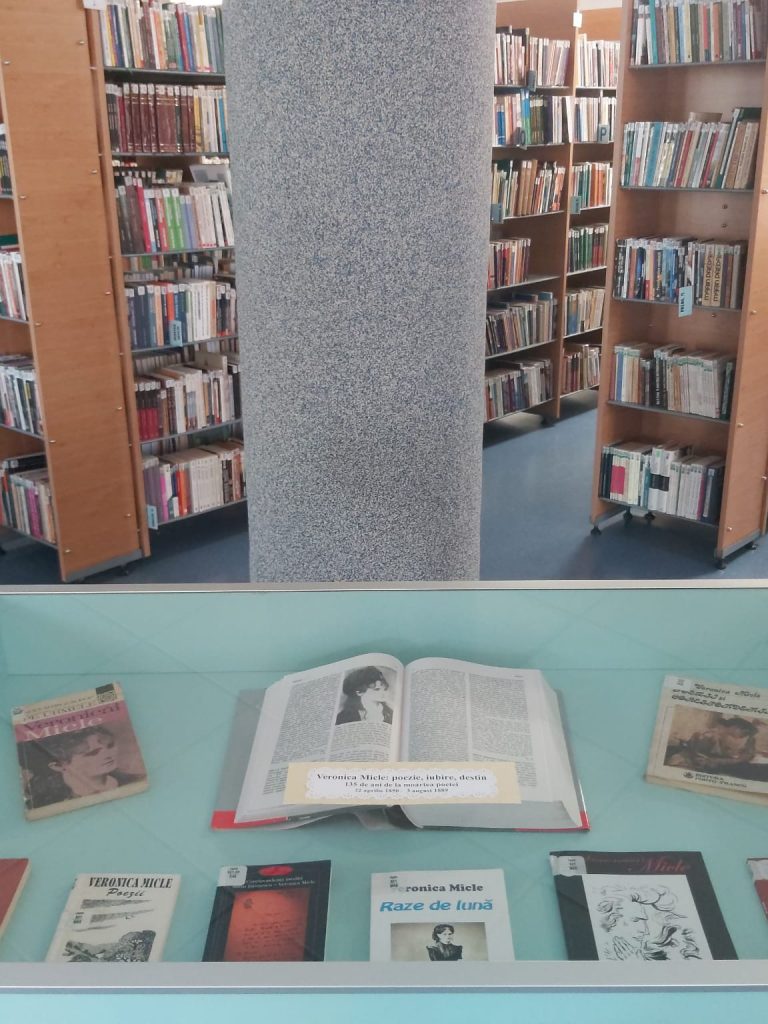 veronica-micle-expozitie-adulti