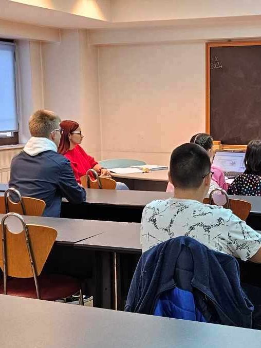 cerc-japoneza-biblioteca