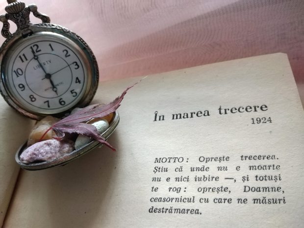 3-11-2024-citatul-de-duminica