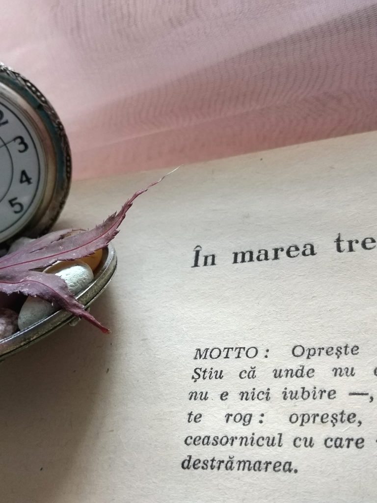 3-11-2024-citatul-de-duminica