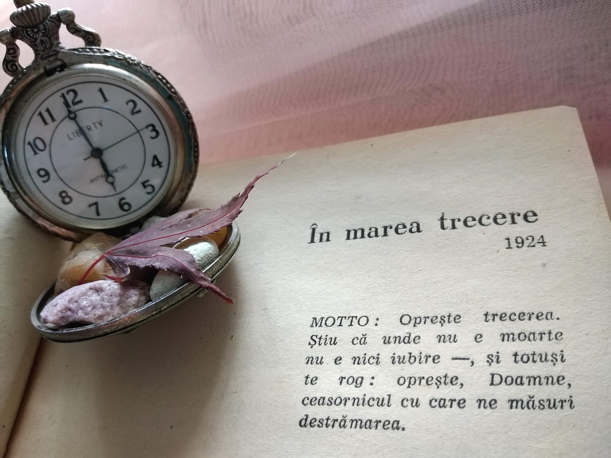 3-11-2024-citatul-de-duminica