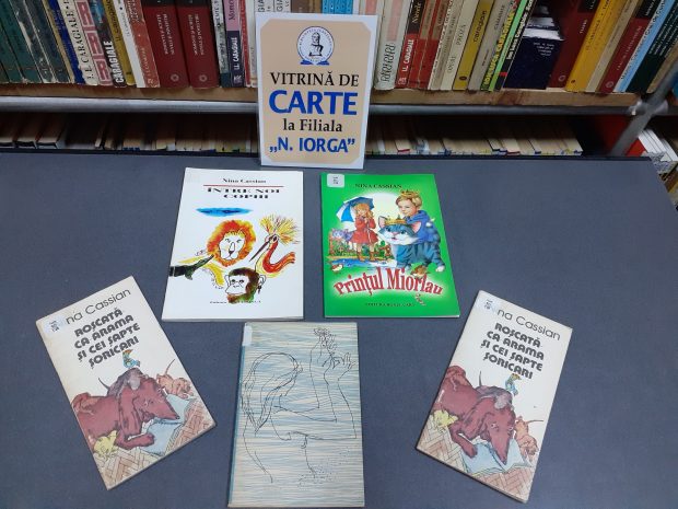 nina-cassian-100-ani