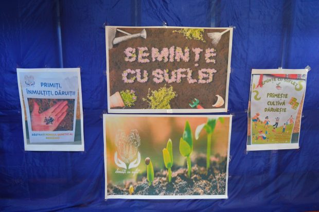 seminte-cu-suflet-2024