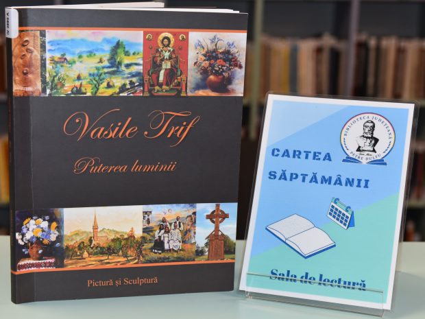 cartea-prietena-mea-vasile-trif-puterea-luminii