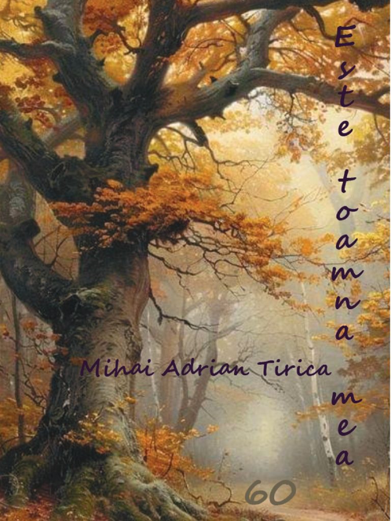 retrospectiva Mihai Tirica_page-0001