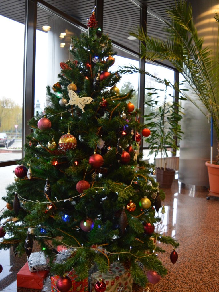 sarbatori-iarna-biblioteca-2024