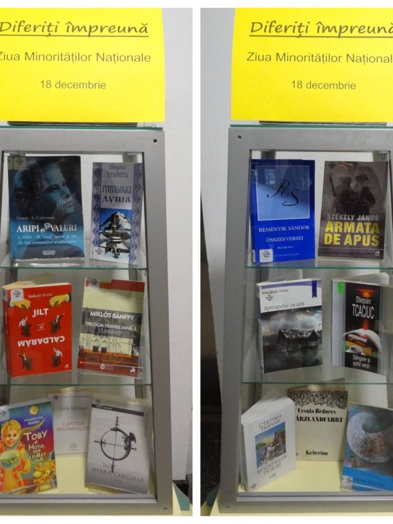 ziua-minoritatilor-nationale-2024