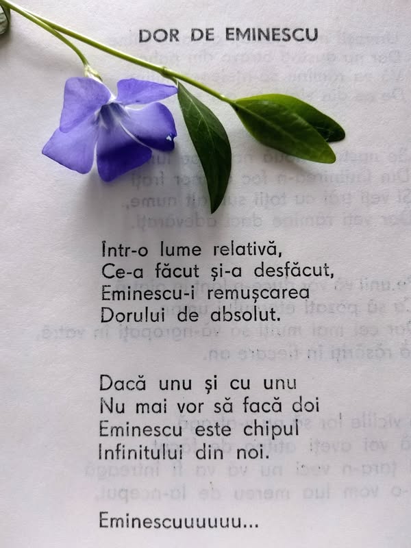 12.01.2025 – Citatul de Duminică