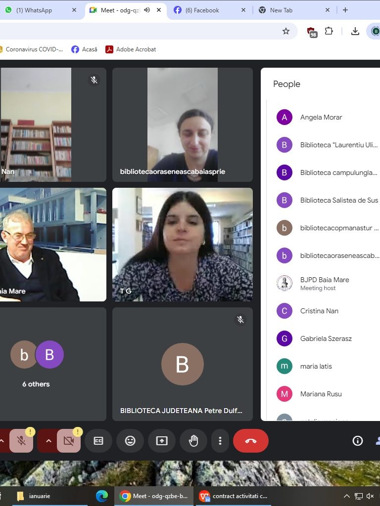 activitate-zoom-biblioteci-judet