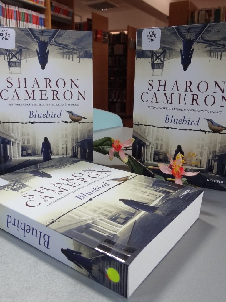 recomandare-multiculturalia-bluebird