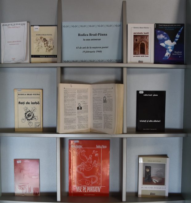 rodica-brad-pauna