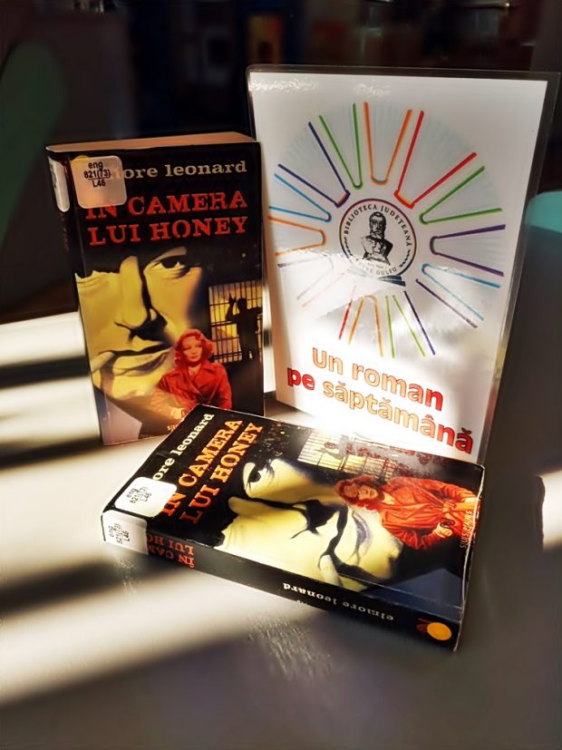 un-roman-pe-saptamana-multuculturalia-in-camera-lui-honey