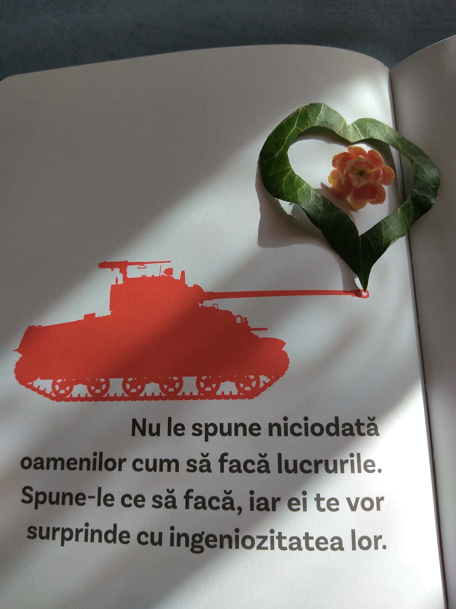 380214559_6489267384535571_6614555655799182823_n