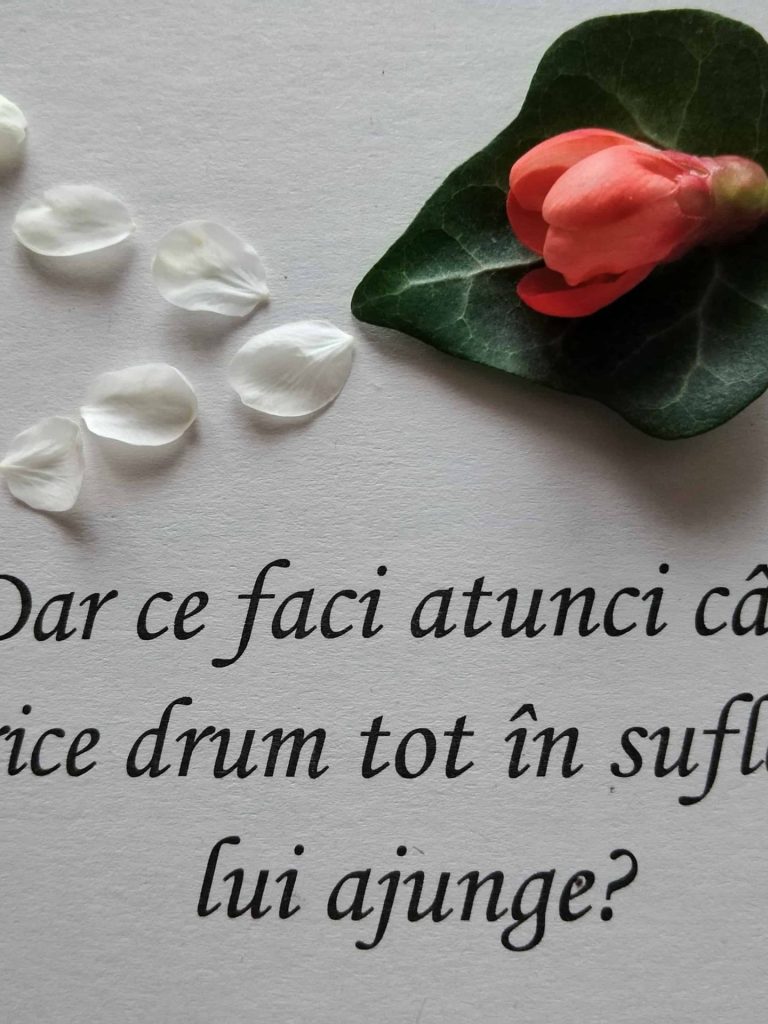 02.07.2023 – Citatul de Duminică