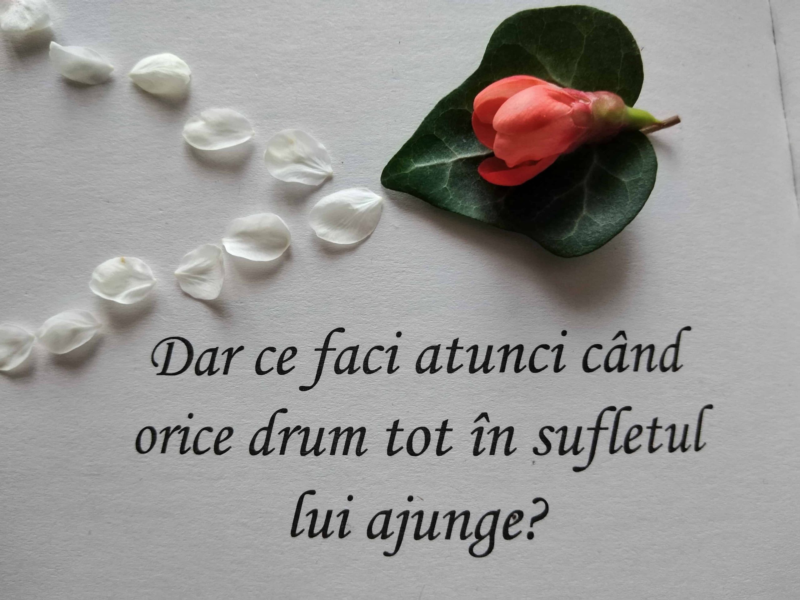 02.07.2023 – Citatul de Duminică