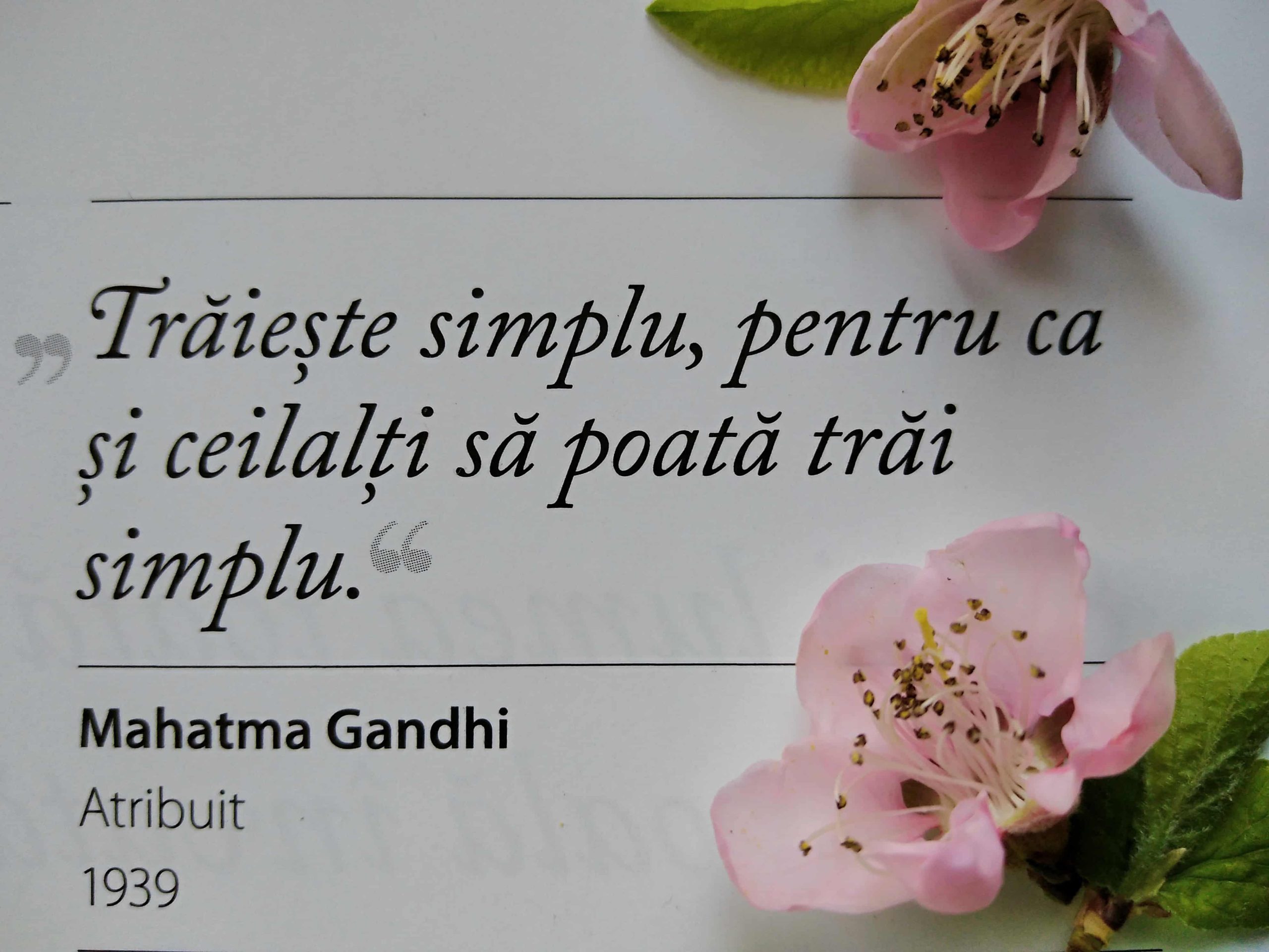 11.06.2023 – Citatul de Duminică