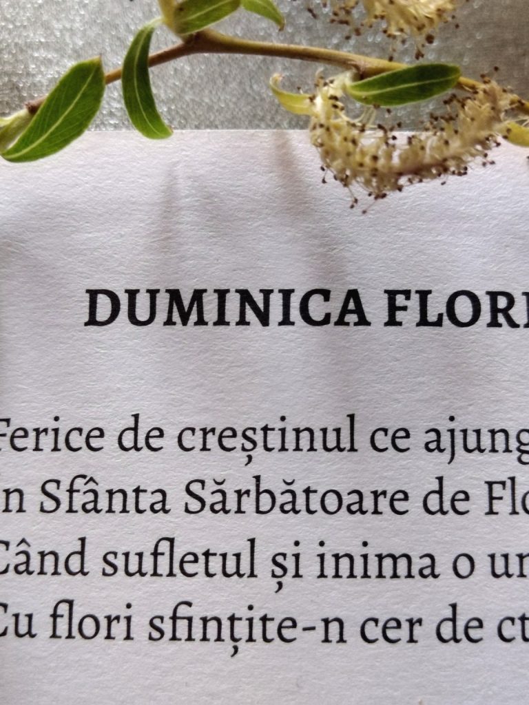 13.04.2025 – Citatul de Duminică