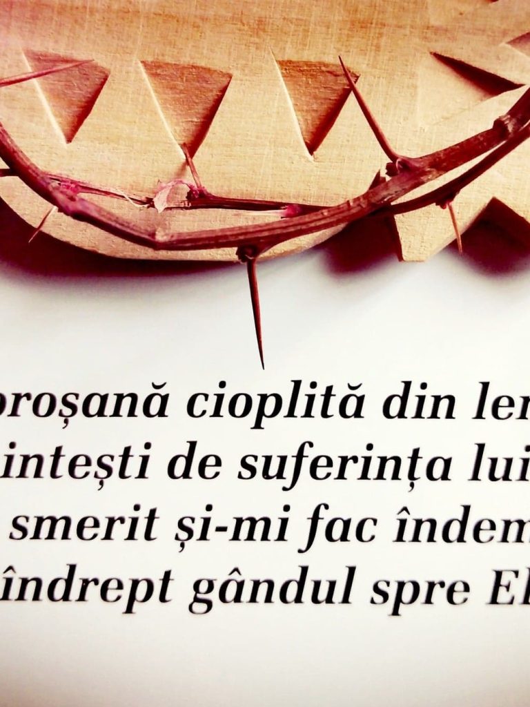 23b3eeb3-2fe5-4f25-830a-a0330ef1736e