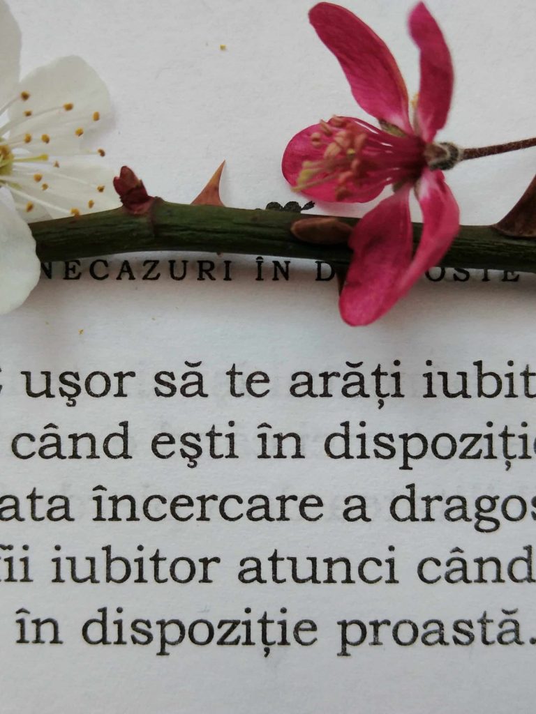 25.06.2023 – Citatul de Duminică
